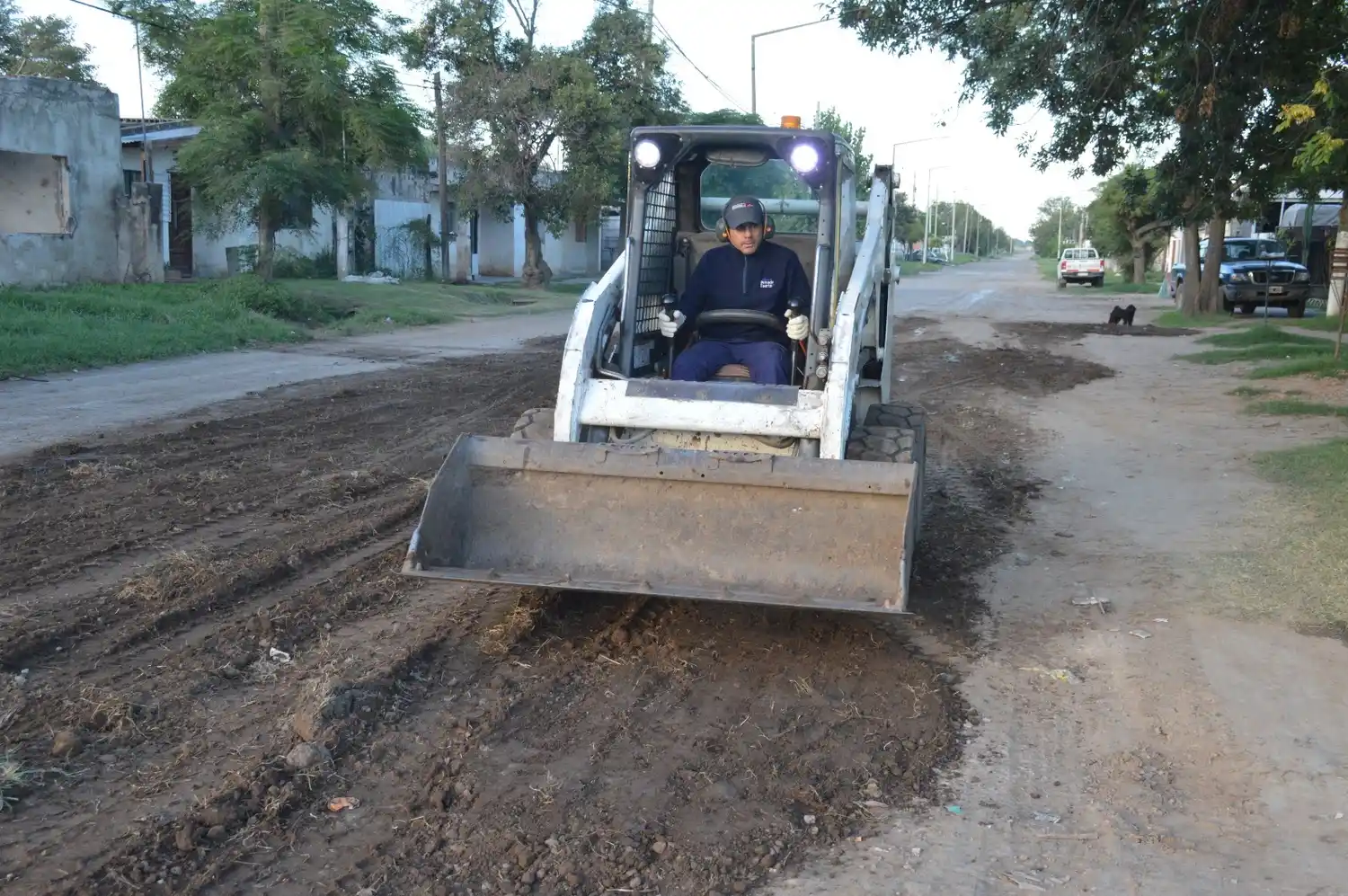 Arreglo de calles Venado