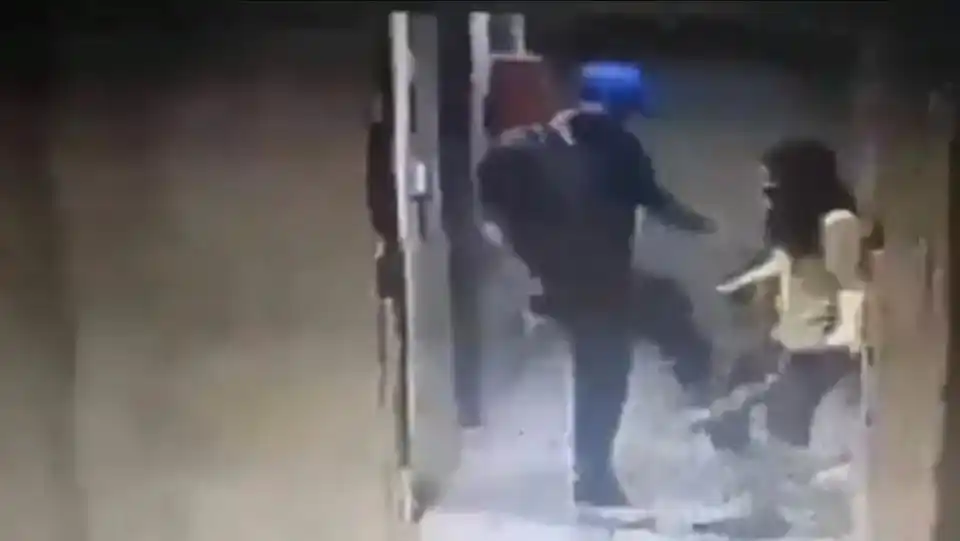 Un psicópata mató de una patada al perro guía de una mujer ciega