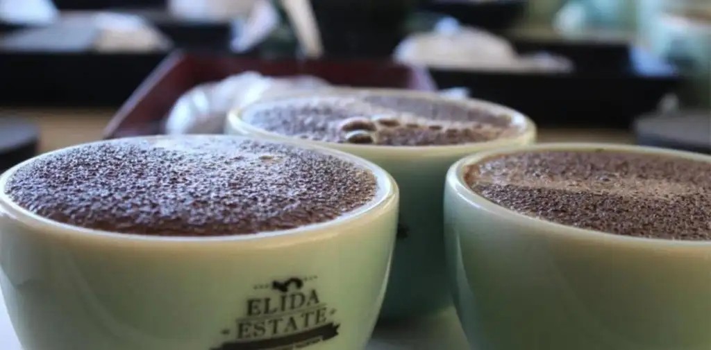 ¿Pagarías 3.412 pesos por la taza de café más cara del mundo?