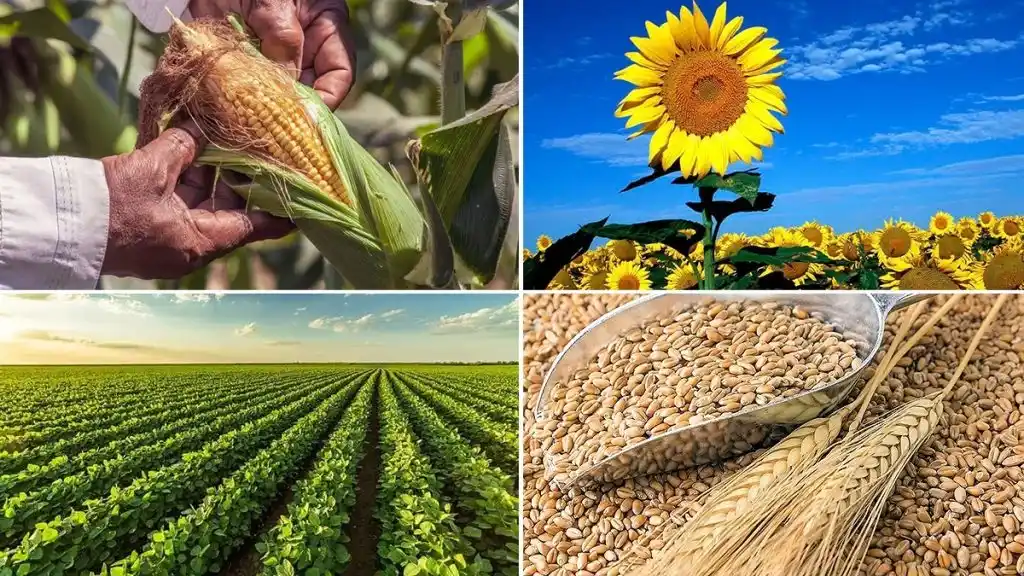 Cierre de los mercados del 15 de septiembre