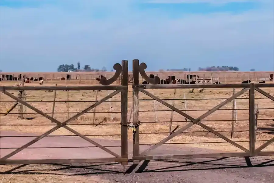 campo - 2