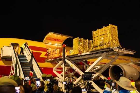 DHL Express transports 17 bongo antelopes from Florida to Kenya