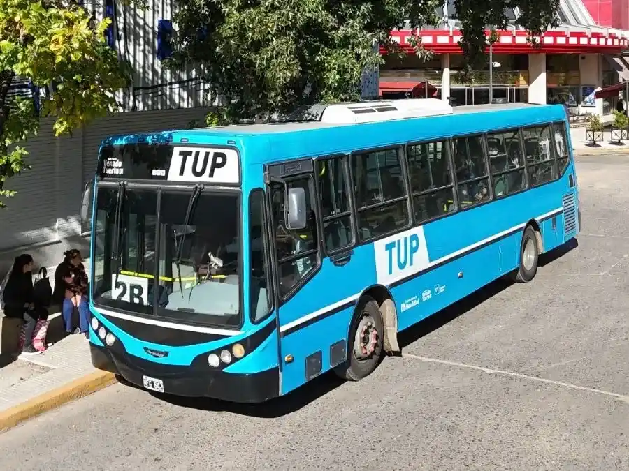 El TUP modifica sus servicios.