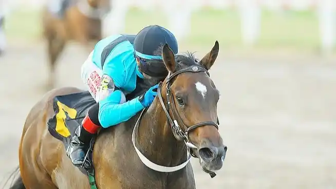 Sarzana Pass tratará de retomar la buena senda en el Clásico General Alvear (L), el lunes en Palermo.