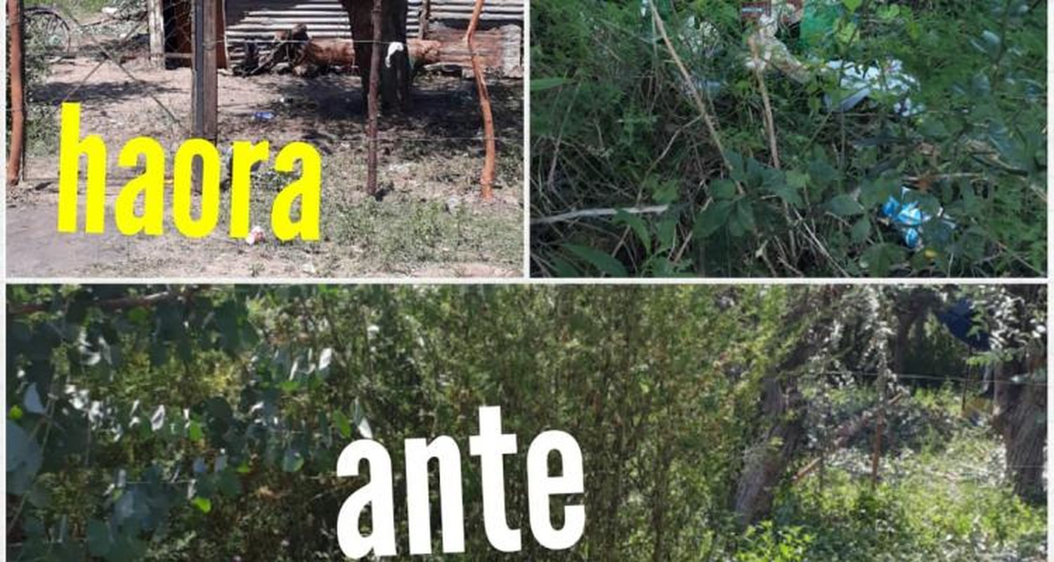 Usurpaciones: Qué dicen las familias que quieren poner una carpa en la municipalidad