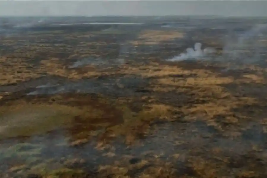 Santa Fe amplió la denuncia por las quemas en el Delta del Paraná