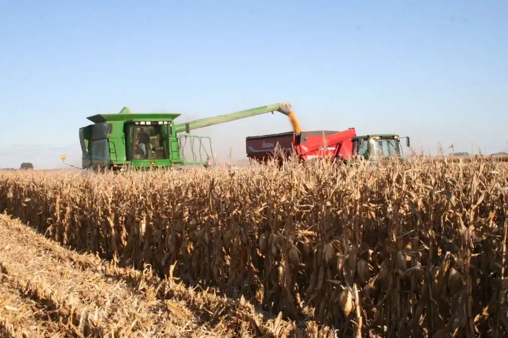 Insumo-producto, relaciones peligrosas para el negocio agrícola