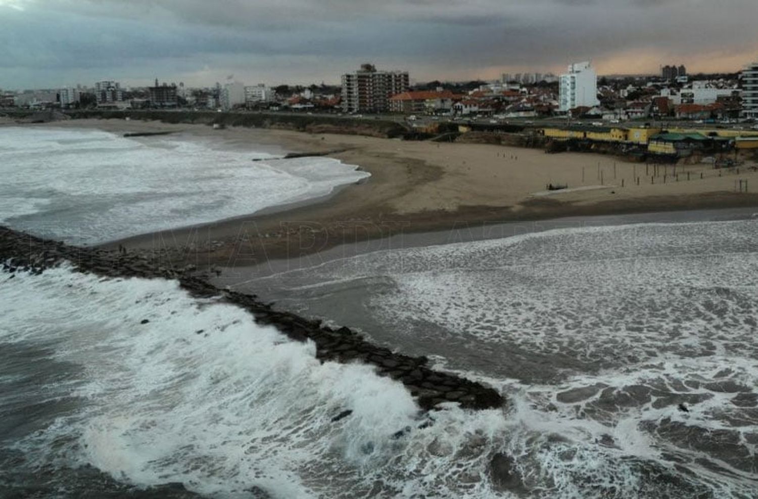 El viento golpea Mar del Plata: cuatro postes y un árbol cayeron en la madrugada