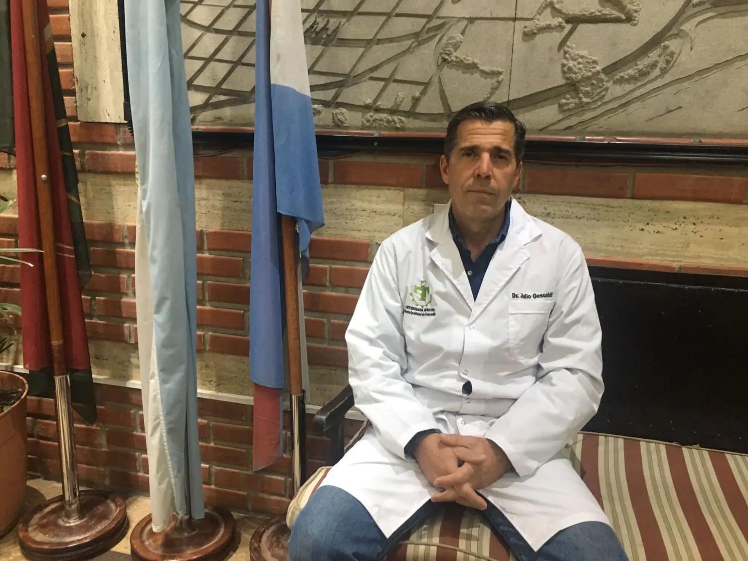 Desde Veterinaria Municipal aclararon los malentendidos y detallaron la nueva Ordenanza de animales sueltos en la vía pública