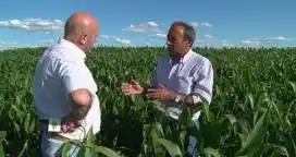 "Las bajas temperaturas fueron favorables para obtener buenos rendimientos en la cosecha de trigo"