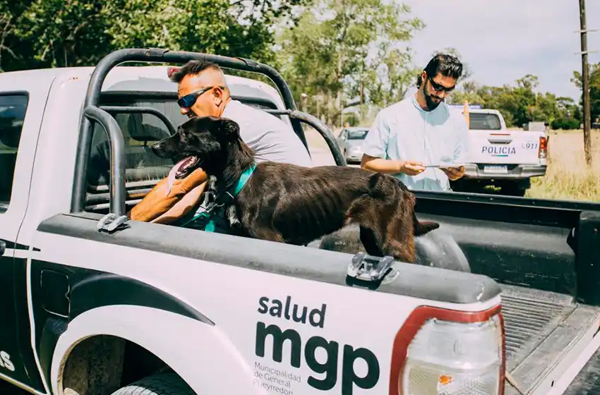 Rescatan dos perros por maltrato animal en el barrio El Casal