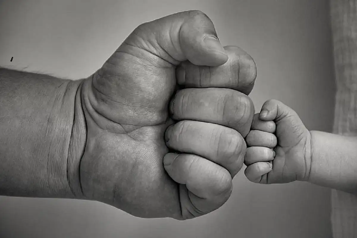 Reflexiones sobre el rol de padre en sus diferentes facetas