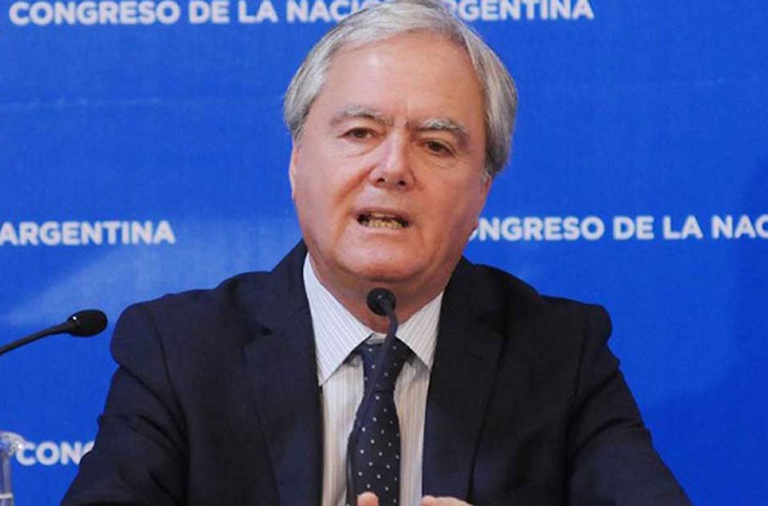 Pinedo: "La Argentina no es Cristina Kirchner y sus propios deseos"