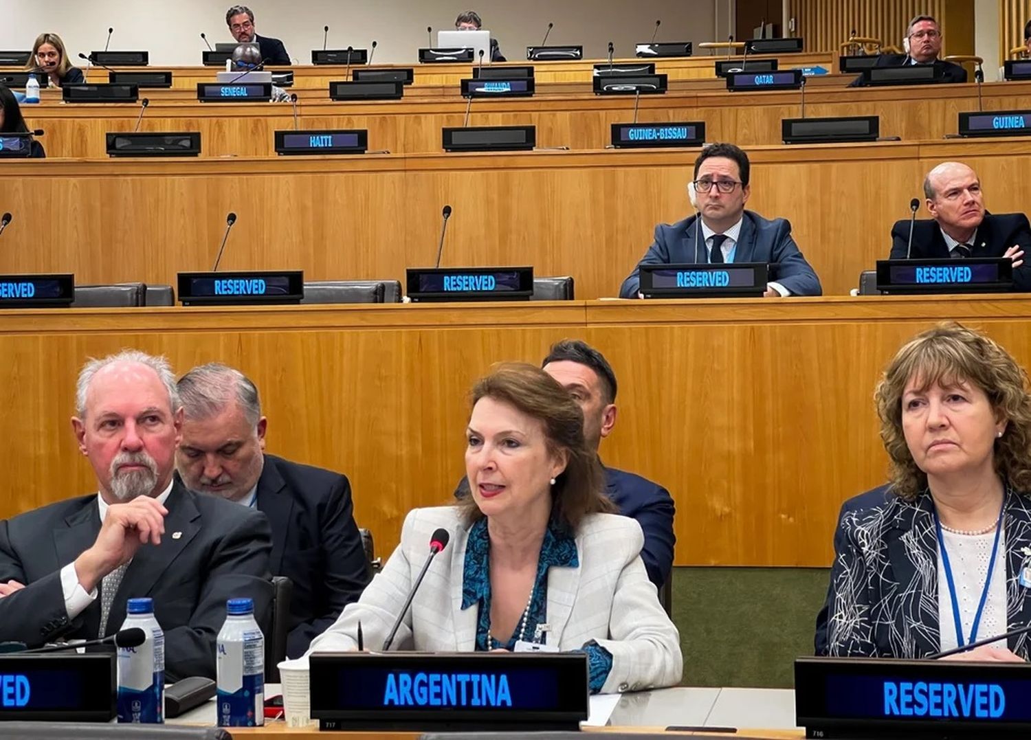 Diana Mondino expuso ante la ONU.