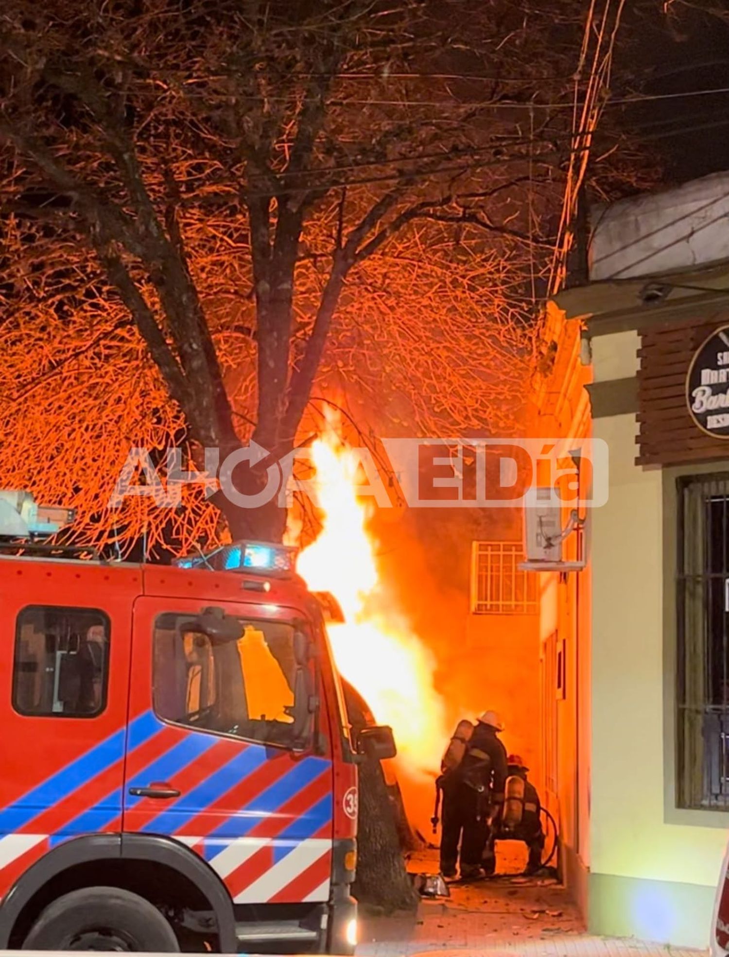 Un auto chocó contra un árbol y terminó envuelto en llamas