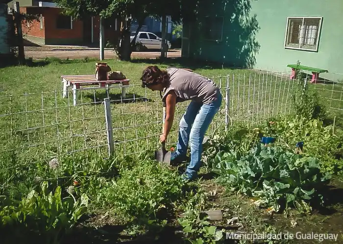 Programa PRO Huerta: continúan con la entrega de semillas
