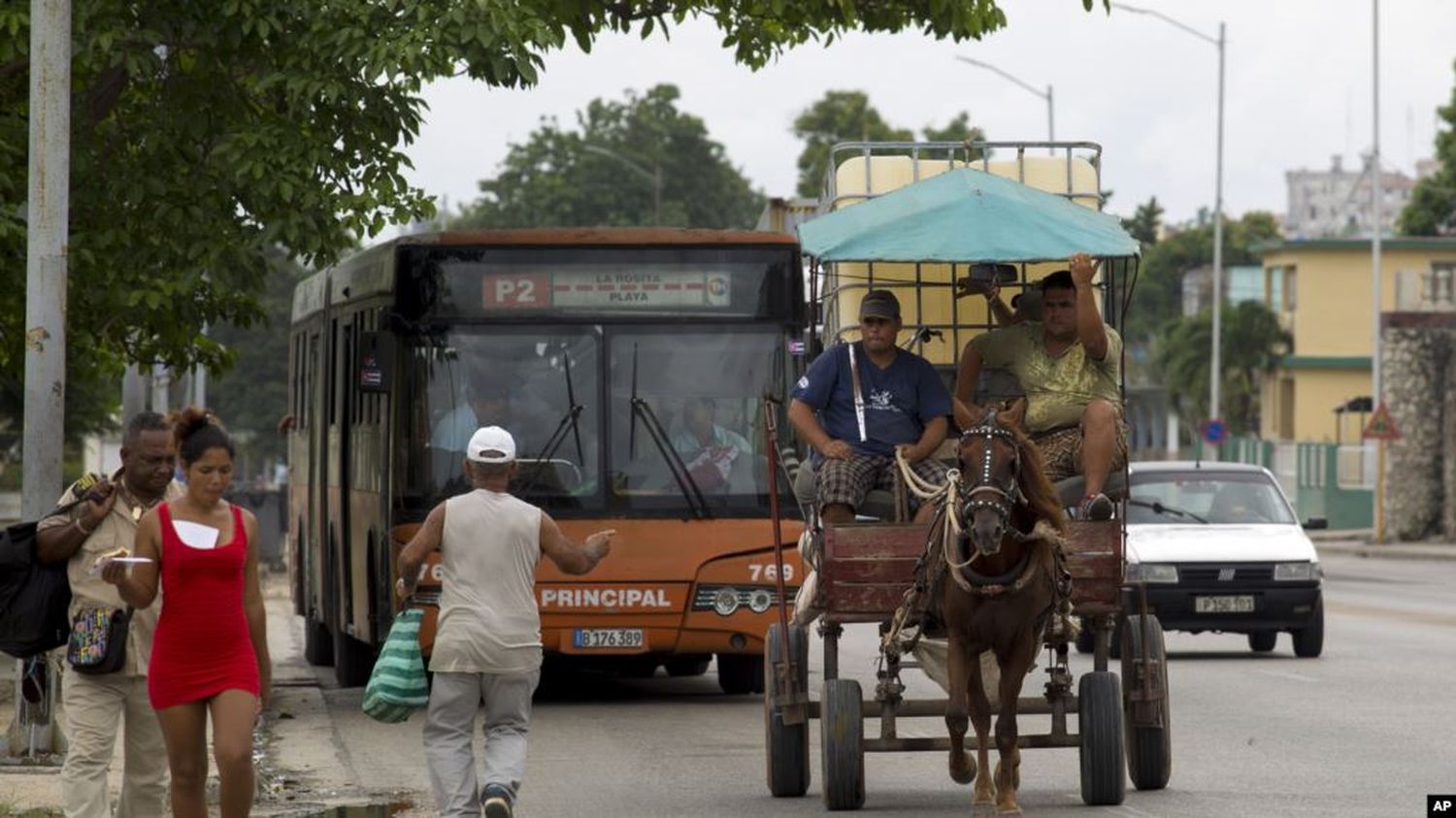 Cuba aumenta uso de tracción animal por crisis energética