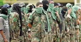 ¡MAYORÍA DE GRUPOS IRREGULARES DE COLOMBIA NO ESTÁN! «La carta es importante, pero la violencia va a seguir»