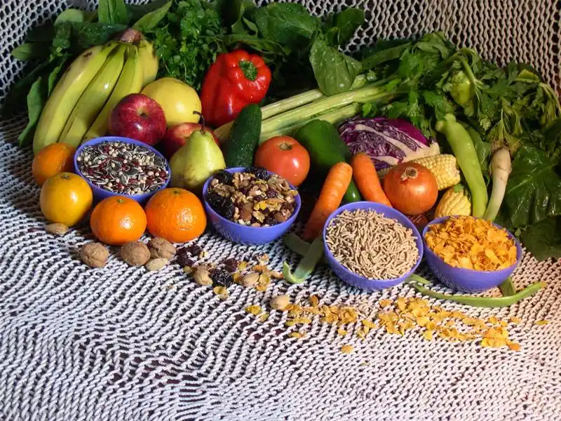 Reunión de la Industria de Alimentos y Bebidas del Mercosur y Chile