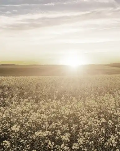 El fin del populismo