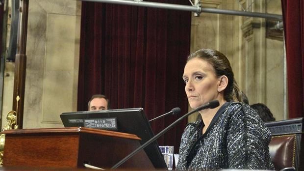 Michetti : "En ningún país del mundo se eliminó el aborto clandestino con la despenalización"