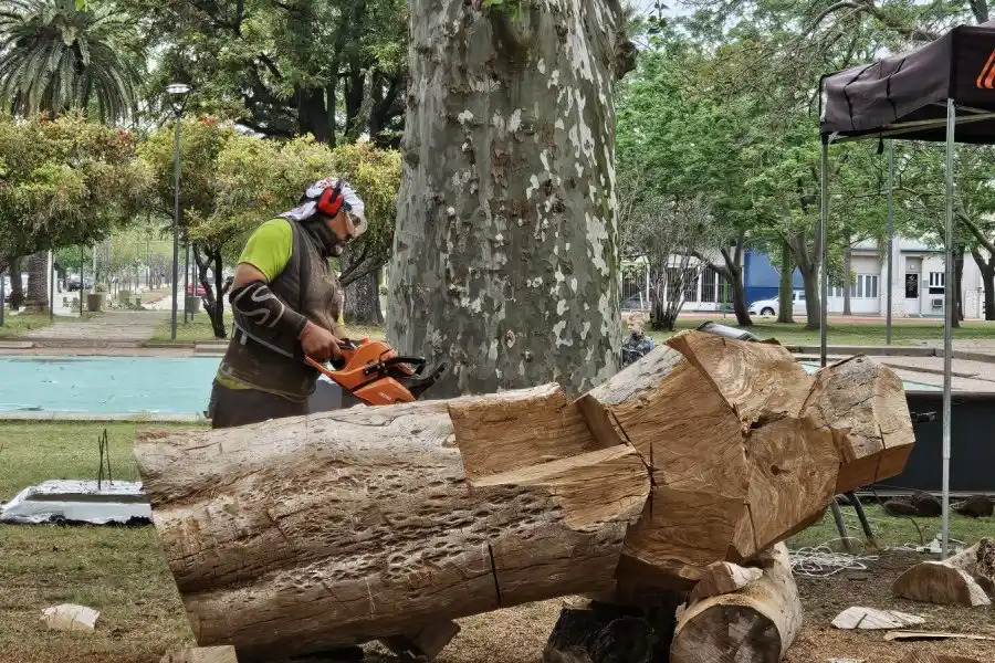 Comenzó el Primer Simposio de Esculturas "Legado" en Humberto Primo