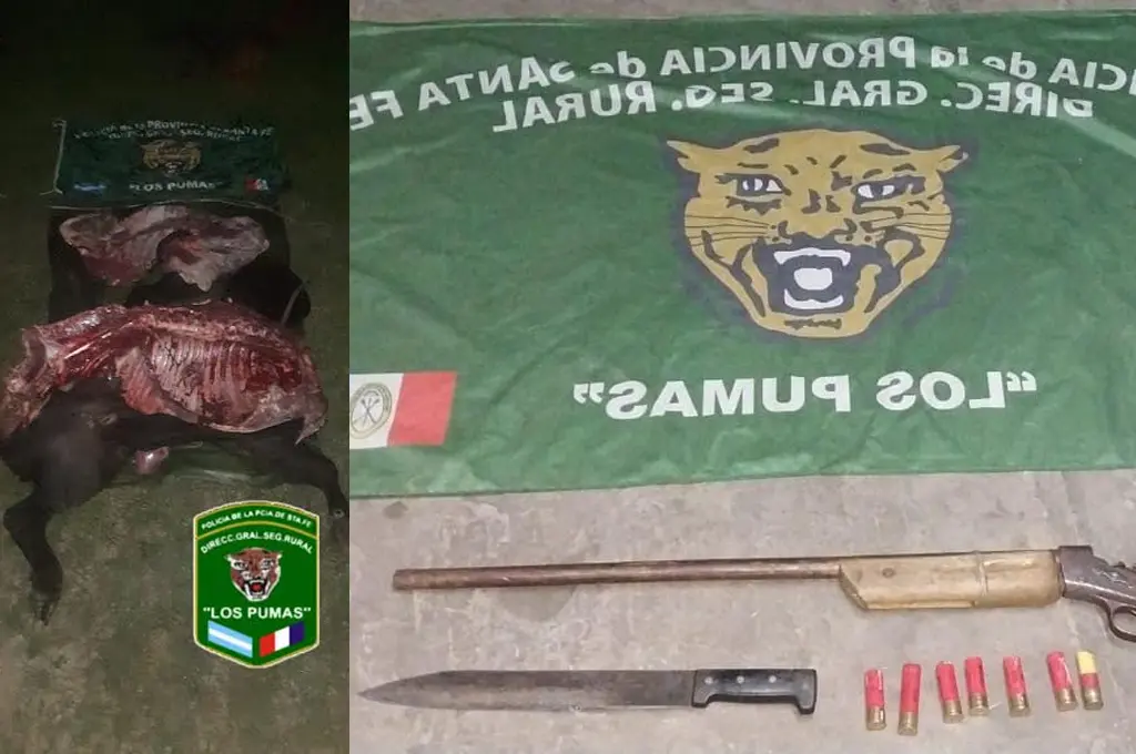 Cuatro aprehendidos en zona de islas: llevaban un animal vacuno faenado en una canoa