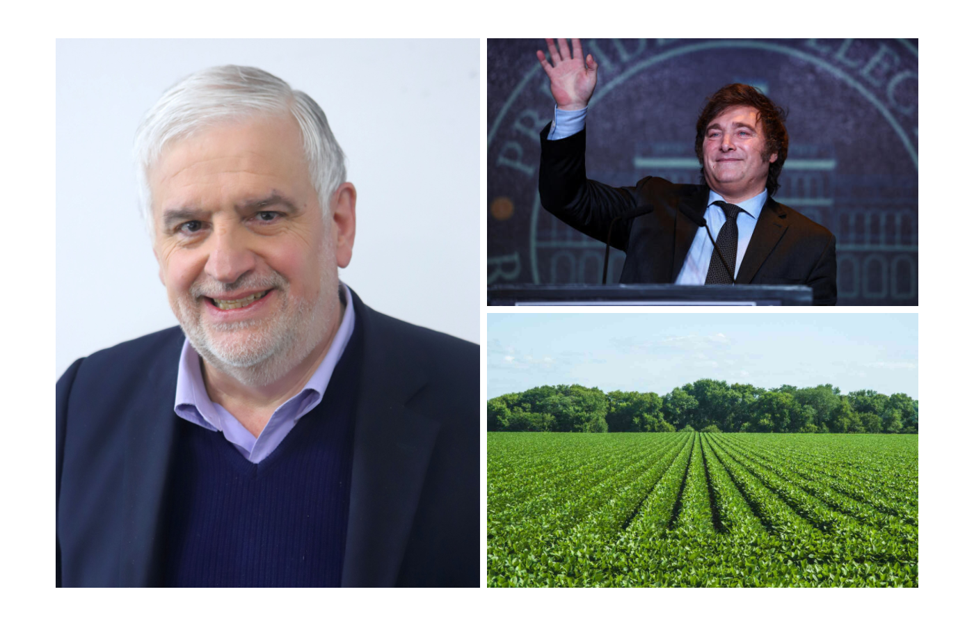 El plan para la agrobioindustria que pondrá en marcha Milei