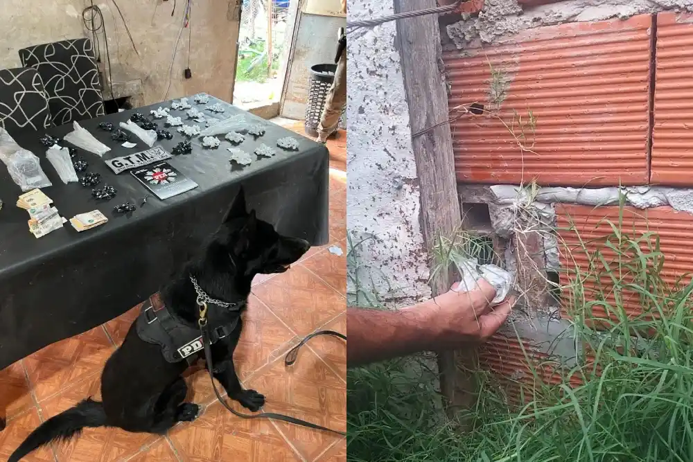 Con la ayuda de un perro policía, secuestraron más de 400 dosis de cocaína en zona norte: hay cuatro detenidos