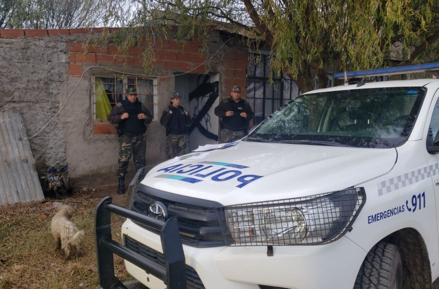 Cuatreros faenaron ganado de excelente genética y repartían la carne en remises