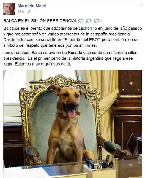 Macri publicó una foto de su perro sentado en el sillón presidencial