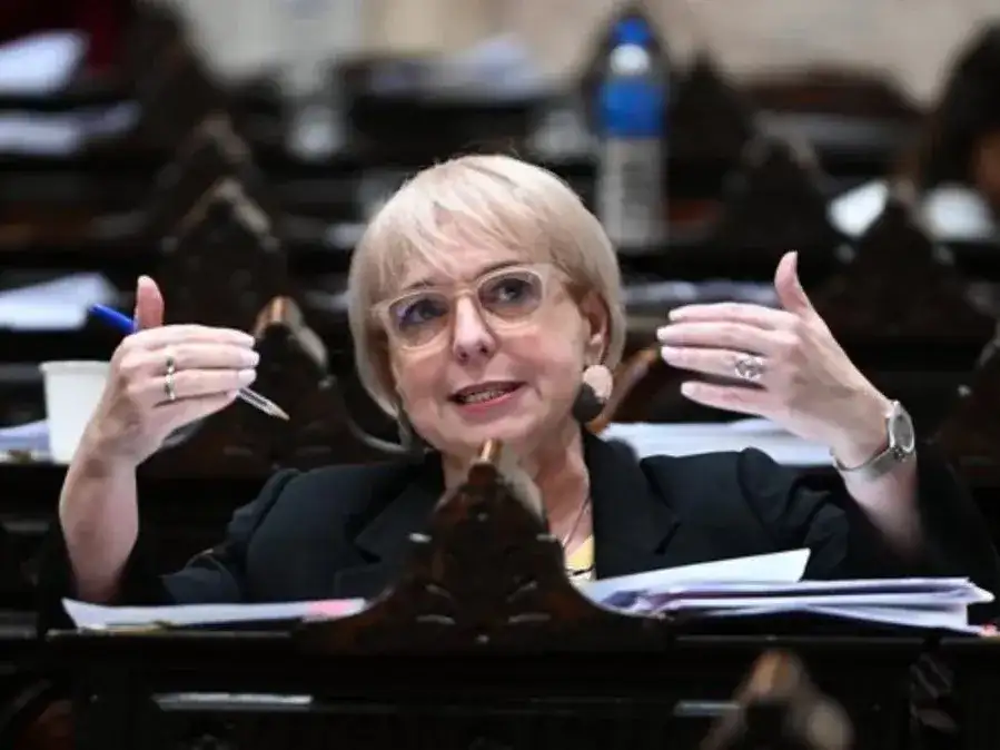 Diputada Silvana Giudici.