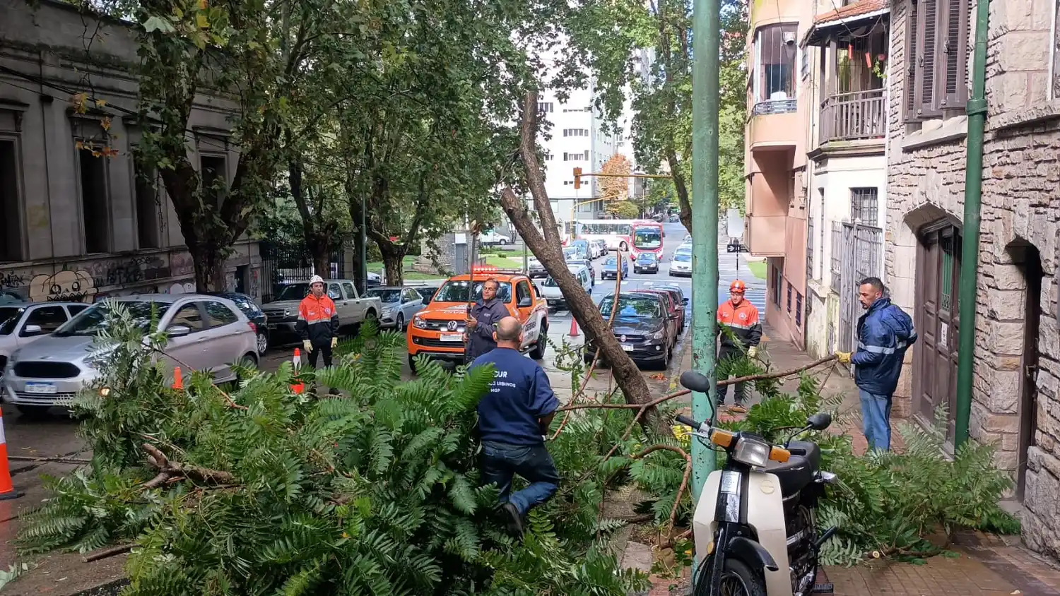 Personal de Defensa Civil trabajando.