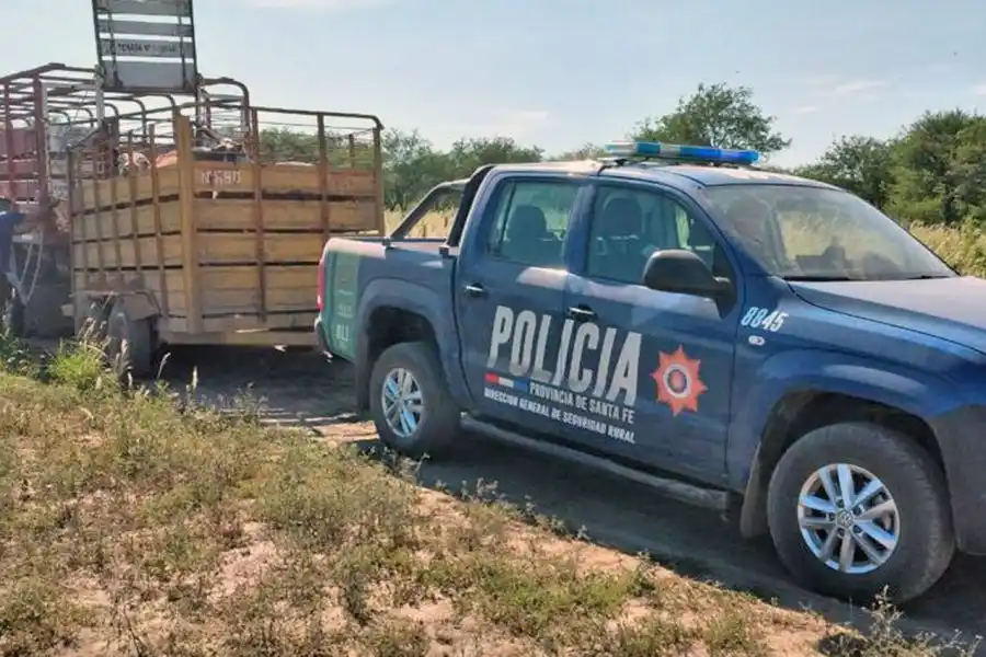 Un joven de la región irá a juicio por robarle dos novillos a su vecino, faenarlos e intentar revenderlos