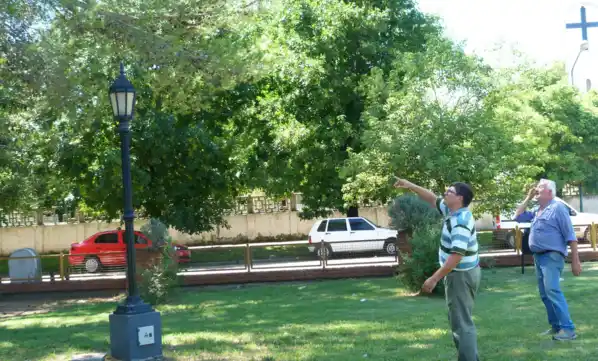 El Municipio Realizó Acciones de Poda Preventiva en Escuela N° 20  Esteban Echeverría