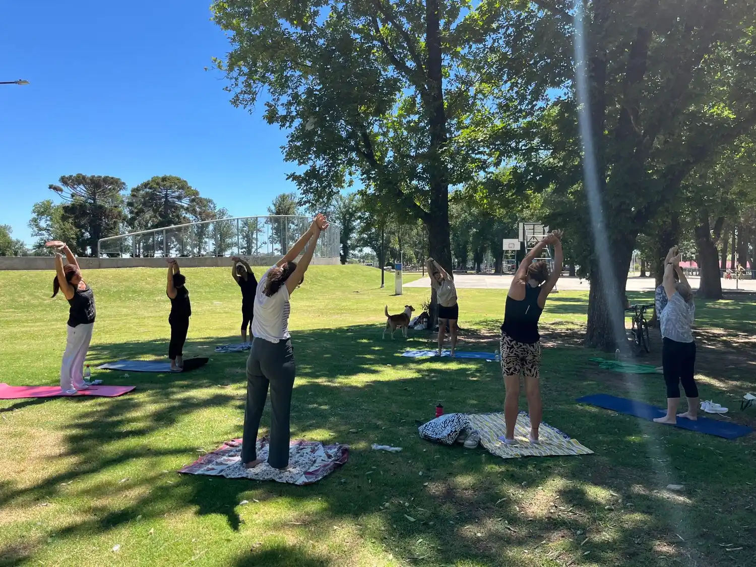 Actividades especiales en el Parque Municipal.