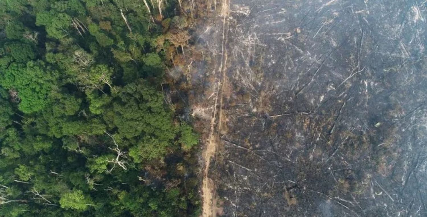 Día Mundial de la Educación Ambiental: la importancia de cuidar nuestro planeta