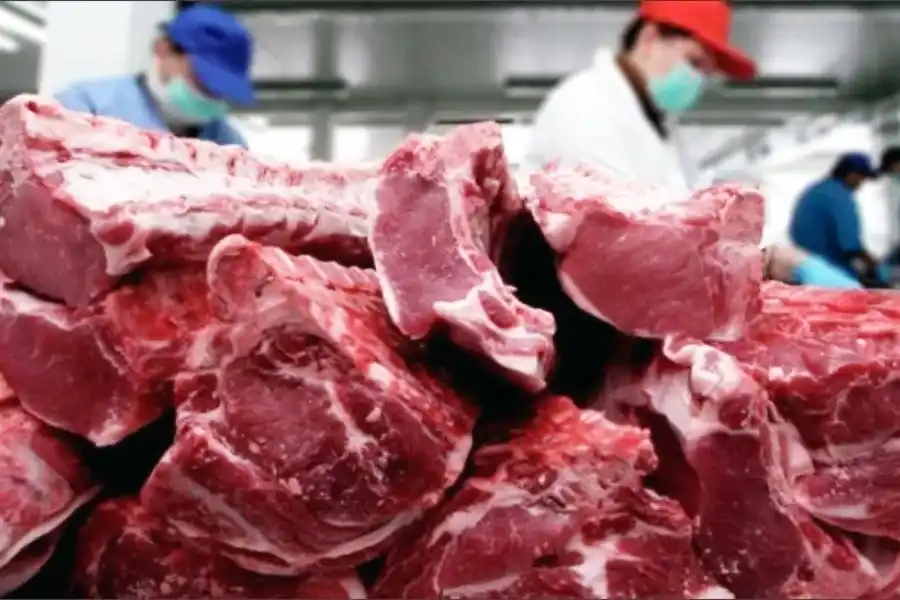 Por primera vez en el año, a partir de septiembre, cayó el volumen de exportación de carne