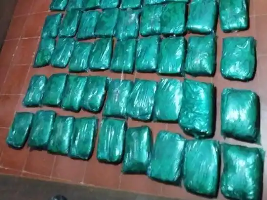 Un control en la Ruta 90 derivó en el hallazgo de hojas de coca y dinero en efectivo