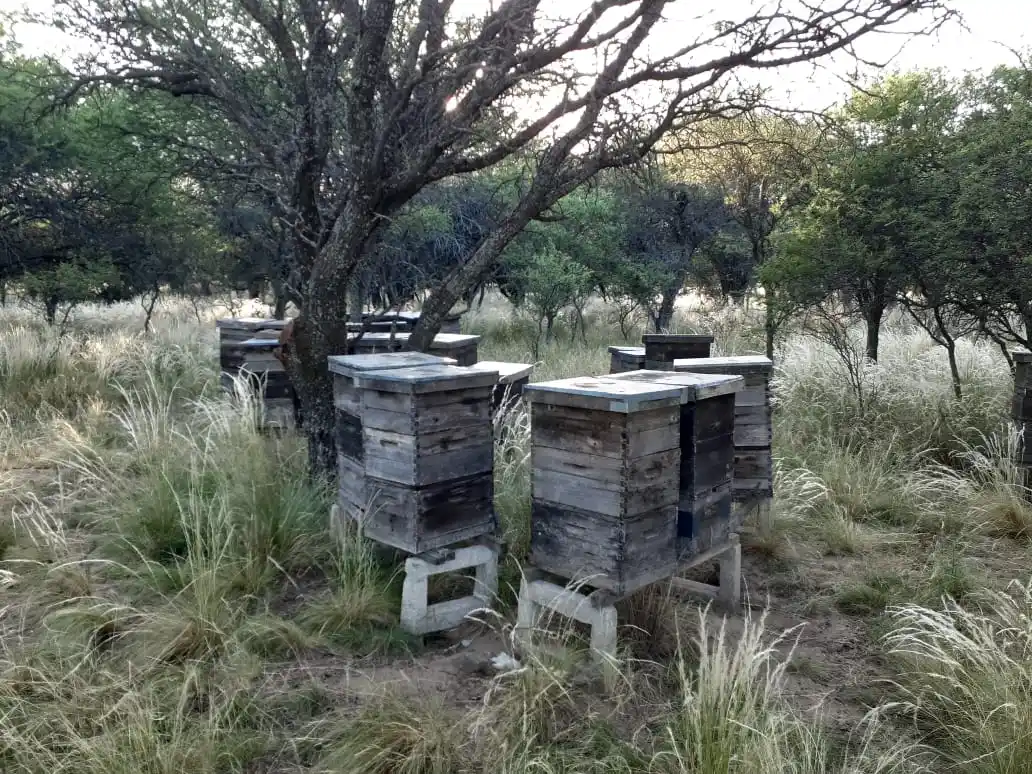 Se prohíbe el uso de productos formulados que contengan Fipronil
