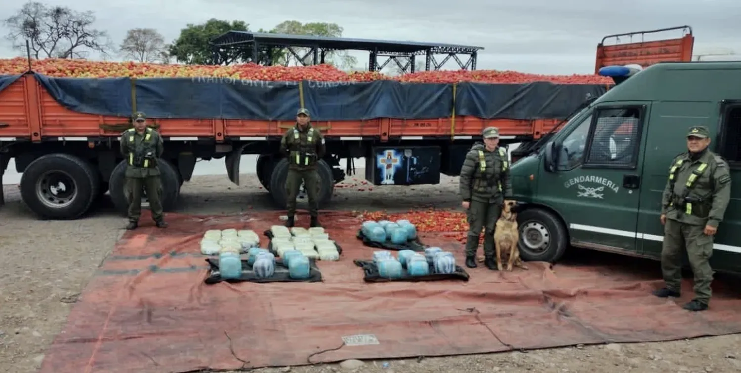 El camión con acoplado partió desde Salta con destino a Mendoza. Crédito: Gendarmería Nacional.