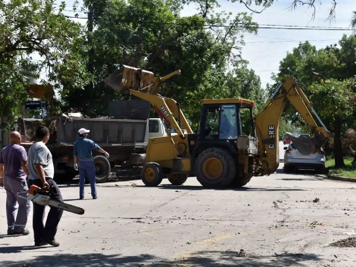 Continúa la recolección de ramas y troncos producto del fuerte temporal