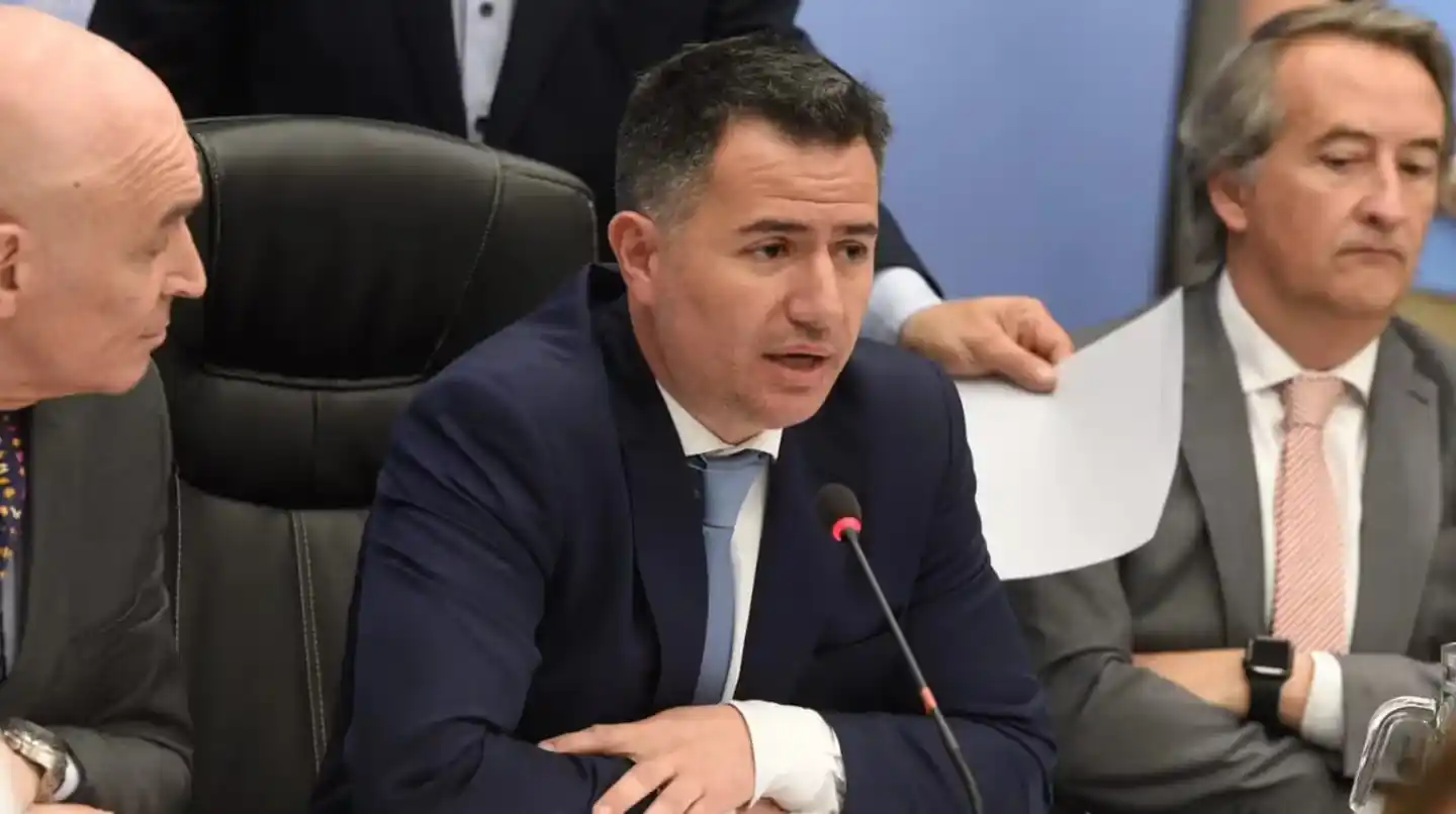 Bornoroni es el presidente de la comisión de Legislación General.