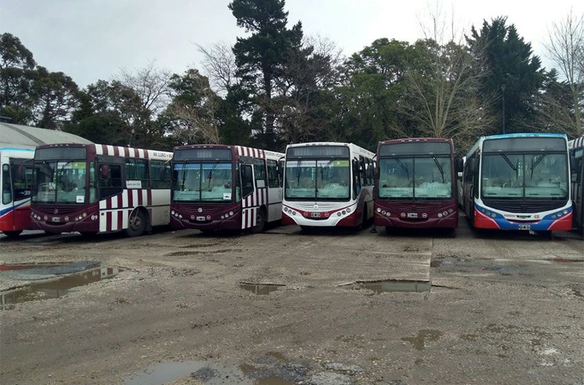 Transporte: quieren que la UNMDP audite el estudio de costos del boleto