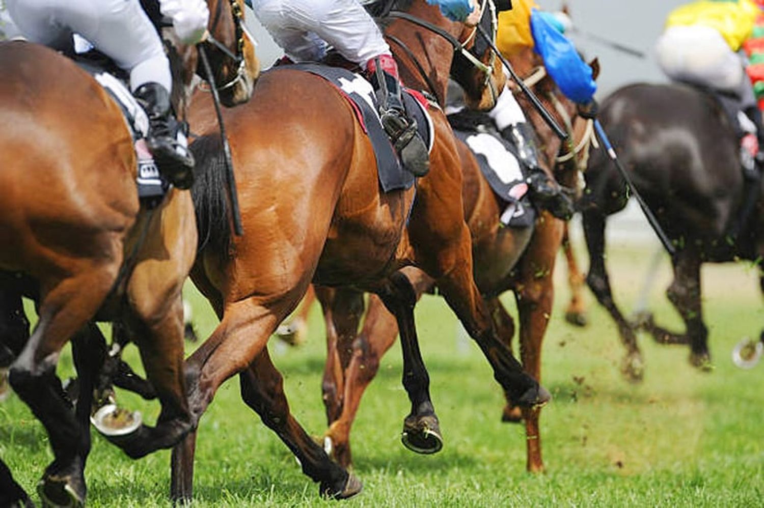 Domingo 22: Actividad Hipódromo de San Isidro