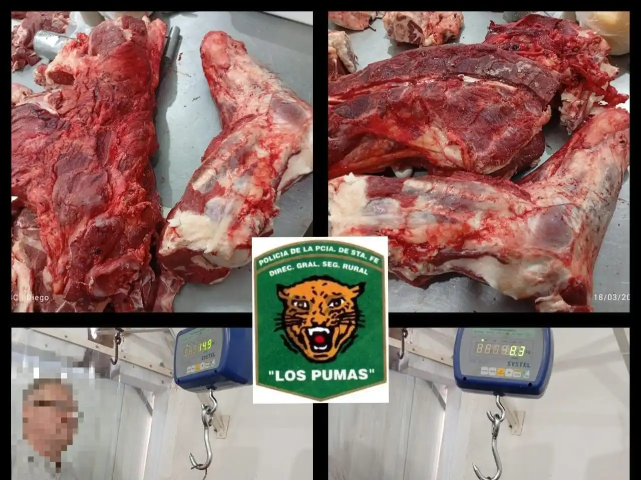 Operativo en carnicerías de la región: decomisaron carne en mal estado y de dudosa procedencia