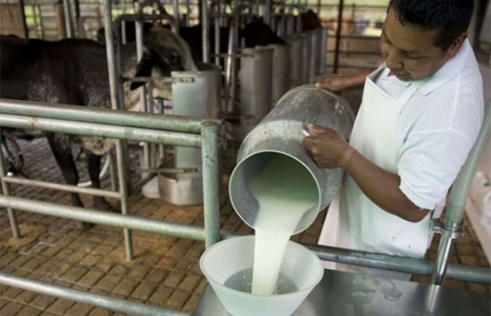 En 2018 se exportó más del 20% de la producción lechera nacional