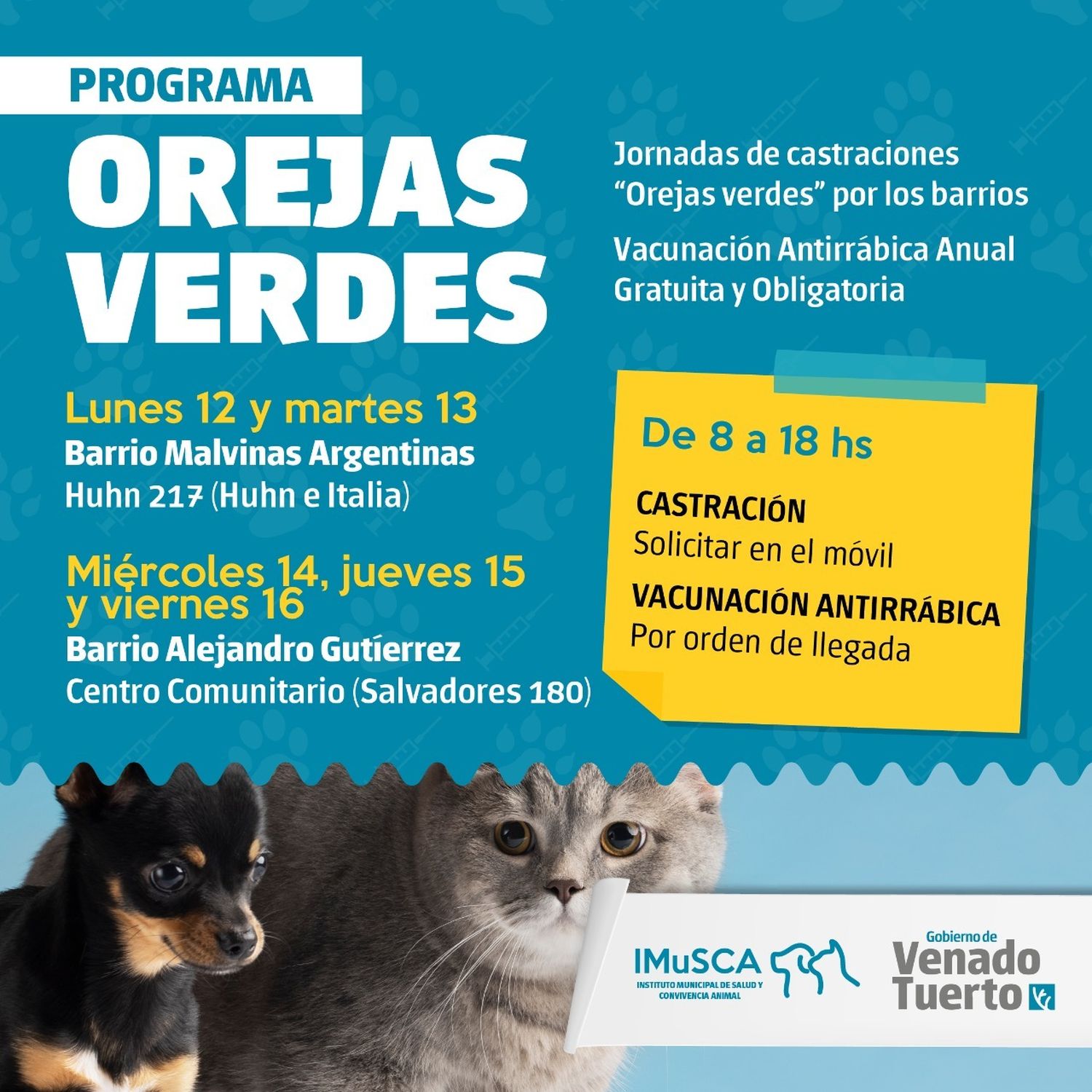 El programa “Orejas Verdes” vuelve a recorrer los barrios con salud animal