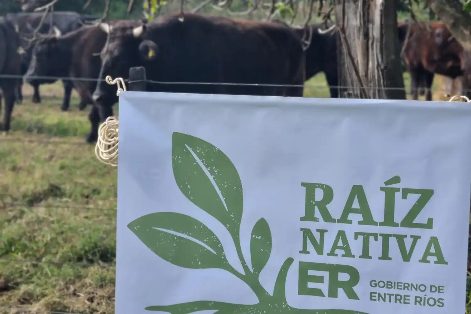 Entre Ríos certifica producción ganadera sostenible en reservas naturales