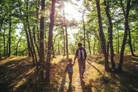 Un ambiente equilibrado y sano para cuidar de nuestra salud